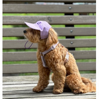 Кепка для собак из льна HatDog, лавандовая