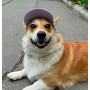 Кепка для собак из льна HatDog, лавандовая