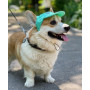 Кепка для собак з льону HatDog, ментолова