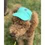 Кепка для собак з льону HatDog, ментолова