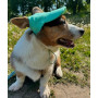 Кепка для собак з льону HatDog, ментолова