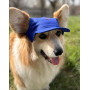 Кепка для собак из коттона HatDog, синяя
