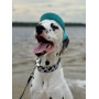 Кепка для собак из льна HatDog, тиффани