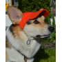 Кепка для собак з льону HatDog, червона