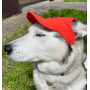 Кепка для собак з льону HatDog, червона