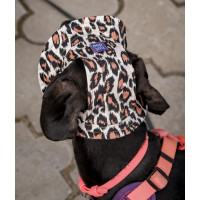 Панама для собак з котону HatDog, леопардова