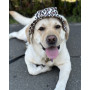 Панама для собак з котону HatDog, леопардова