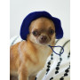 Панама для собак из коттона HatDog, синяя