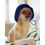 Панама для собак из коттона HatDog, синяя