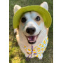 Панама для собак из коттона HatDog, лаймовая
