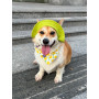 Панама для собак из коттона HatDog, лаймовая