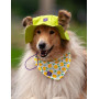 Панама для собак из коттона HatDog, лаймовая