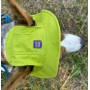 Панама для собак из коттона HatDog, лаймовая