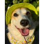 Панама для собак из коттона HatDog, лаймовая