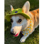 Панама для собак из коттона HatDog, лаймовая