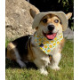 Панама для собак из коттона HatDog, белая