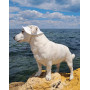 Панама для собак из коттона HatDog, белая
