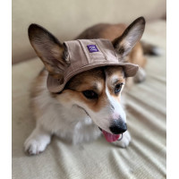 Панама для собак з котону HatDog, койот