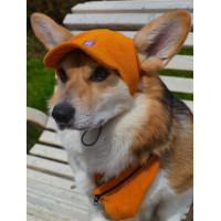Кепка для собак з вельвету HatDog, гірчична