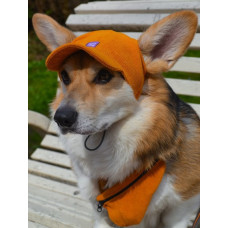 Кепка для собак из вельвета HatDog, горчичная
