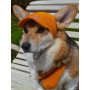 Кепка для собак из вельвета HatDog, горчичная
