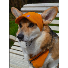 Кепка для собак из вельвета HatDog, горчичная