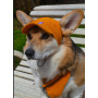 Кепка для собак из вельвета HatDog, горчичная