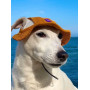 Панама для собак из вельвета HatDog, горчичная
