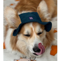 Панама для собак з вельвету HatDog, смарагдова