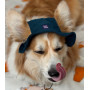 Панама для собак з вельвету HatDog, смарагдова