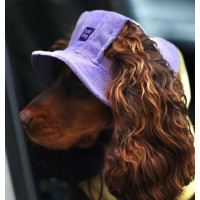 Панама для собак з вельвету HatDog, лавандова