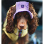 Панама для собак из вельвета HatDog, лавандовая