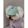 Кепка для собак из эко-кожи HatDog, ментоловая