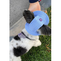Панама для собак из вельвета HatDog, голубая