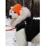 Шапка для собак HatDog, оранжевая