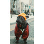 Шапка для собак HatDog, оранжевая