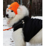 Шапка для собак HatDog, оранжевая
