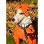 Шапка для собак HatDog, оранжевая