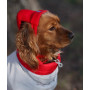 Шапка для собак HatDog, красная