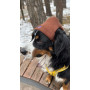 Шапка для собак HatDog, коричневая
