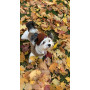 Шапка для собак HatDog, коричневая