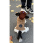 Шапка для собак HatDog, коричневая