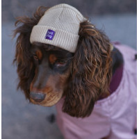 Шапка для собак HatDog, бежева
