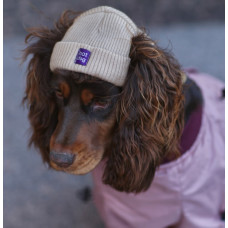 Шапка для собак HatDog, бежева