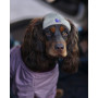 Шапка для собак HatDog, бежевая