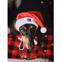 Новогодний набор (шапка Санты + шарф) для собак HatDog