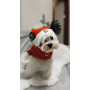 Новогодний набор (шапка Санты + шарф) для собак HatDog