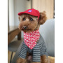 Кепка для собак из вельвета HatDog, красная