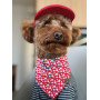 Кепка для собак из вельвета HatDog, красная