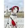 Панама для собак из вельвета HatDog, красная
